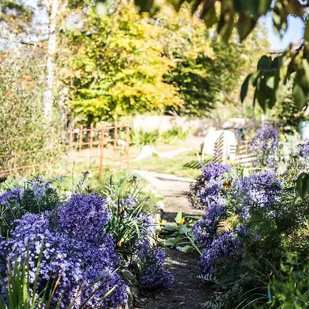 The Wicklow Escape (adults Only) Donard