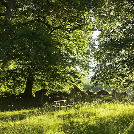 The Wicklow Escape (adults Only) Lodge *