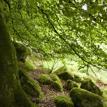 Lodge The Wicklow Escape (adults Only)