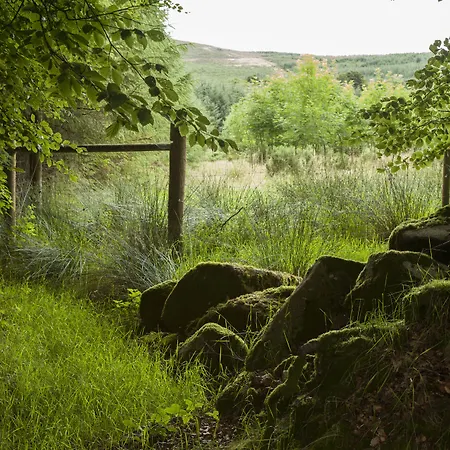 Lodge The Wicklow Escape (adults Only) *