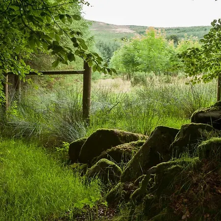 The Wicklow Escape (adults Only) Donard